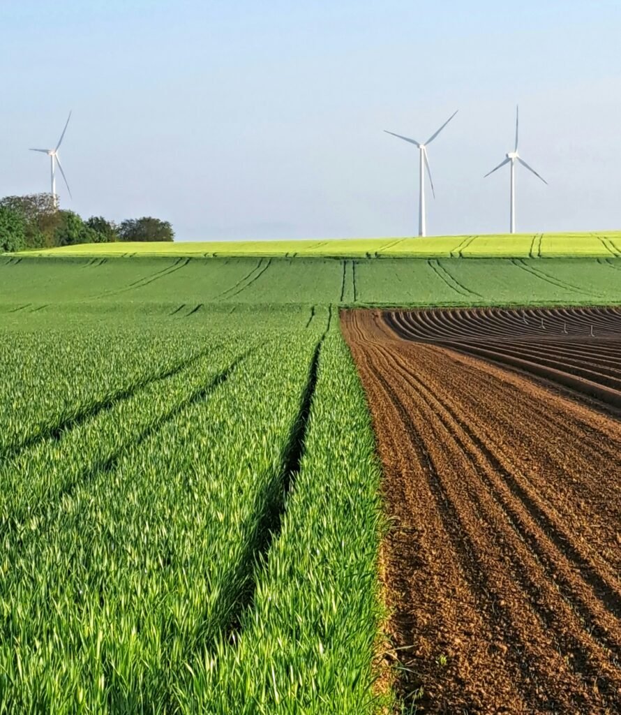 michael schreiber kmpo5kogllw unsplash