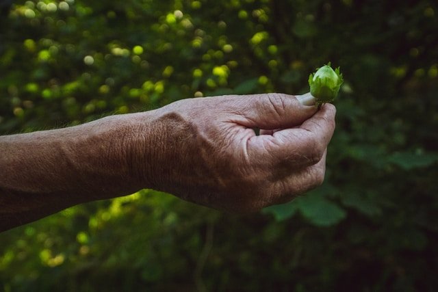 luke thornton jqbrcu5odfy unsplash (1) luke thornton jqbrcu5odfy unsplash (1)